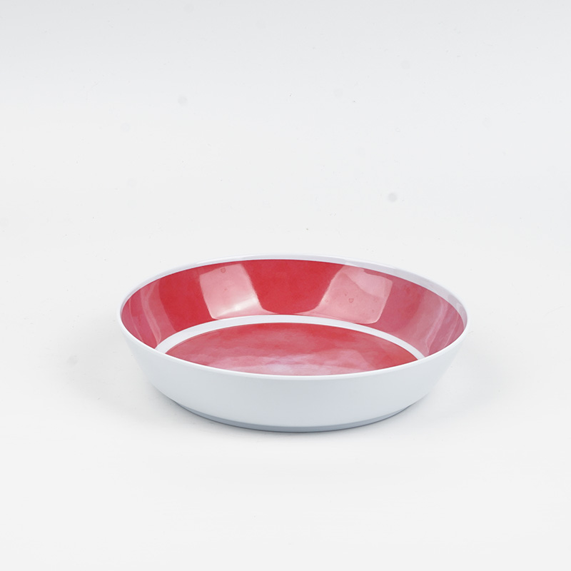 Elegant Melamine Dinnerware Set 12 Pieces Plates and Bowls Set - Image 5